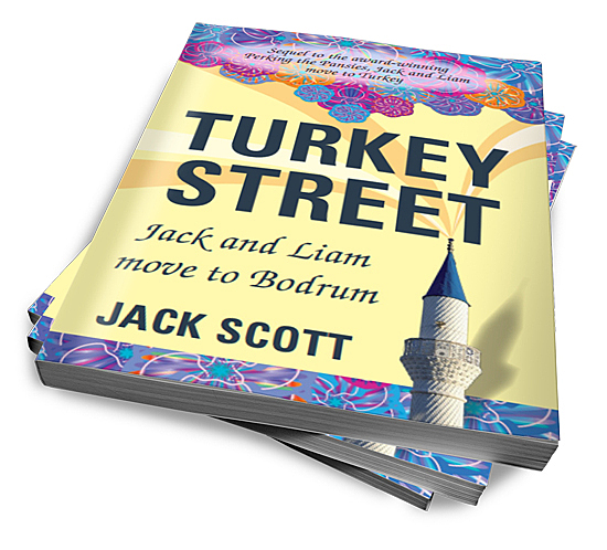 Turkey Street by Jack Scott